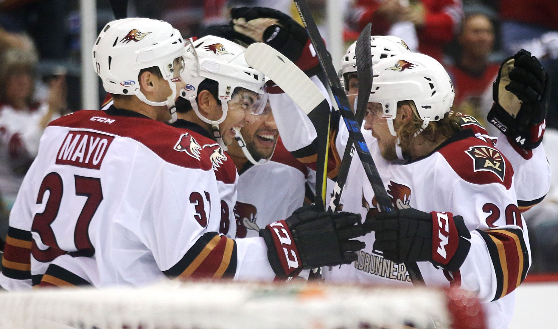 Tucson Roadrunners vs. San Diego Gulls AHL hockey